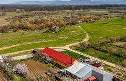 Frumuseni, Arad County