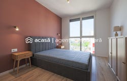 Arad, Arad County