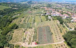 Pobegi, Koper 6276