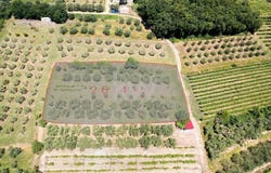 Pobegi, Koper 6276