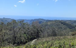 Guaisgua, Teotepeque, La Libertad, Teotepeque, La Libertad, Teotepeque, La Libertad
