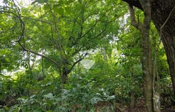 Hacienda Zapotitan, Polígono El Espino, lote # 82, Ciudad Arce, La Libertad, Ciudad Arce, La Libertad