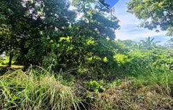 Lotificacion La Isla, polígono B, lotes 8 y 9.Carretera antigua que conduce hacia San Salvador. Santa Ana., Primavera, Santa Ana, Primavera, Santa Ana