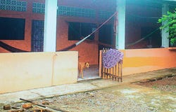 Colonia Montalvo, calle principal, casa número 2, Santa María, Usulután Este, Usulután., Santa Maria, Usulután, Santa Maria, Usulután