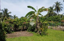 Costa Azul, Acajutla, Sonsonate, Acajutla, Sonsonate