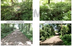 Cantón Primavera, Distrito de El Tránsito, Municipio de San Miguel Oeste, Departamento de San Miguel, El Transito, San Miguel, El Transito, San Miguel