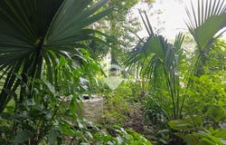 Hacienda Zapotitan, Polígono El Espino, lote # 82, Ciudad Arce, La Libertad, Ciudad Arce, La Libertad