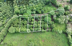 HACIENDA EL MICO, CANTON LOMA DE RAMOS, GUAZAPA SAN SALVADOR NORTE, Guazapa, San Salvador, Guazapa, San Salvador