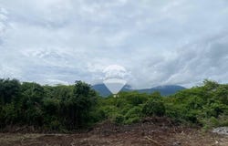 Hacienda Chanmico, Pol. 6 Lote 222, Finca Chanmico, Porcion 8, remedicio, San Juan Opico, La Libertad, San Juan Opico, La Libertad, San Juan Opico, La Libertad