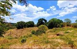 El Pino , Ciudad Delgado, Delgado, San Salvador, Delgado, San Salvador