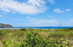STATIA, Almond Grove, St. Maarten, Almond Grove, St. Maarten