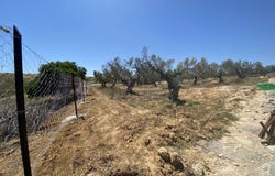 Cité Ouvrière, Bizerte