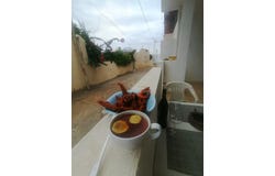 Kelibia, Nabeul 8090
