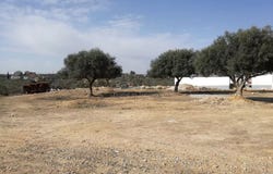 Sousse, Sousse 4000