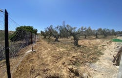 Cité Ouvrière, Bizerte