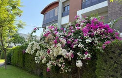 Antalya Konyaalti, Antalya 07130