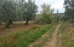 Balıkesir, Balıkesir 10700