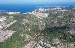 Bodrum, Mula