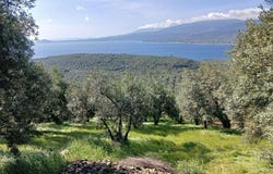 Balıkesir, Balıkesir 10250