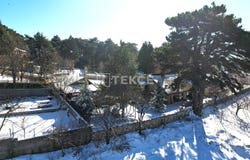 Osmangazi, Bursa