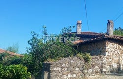 Milas, Mula