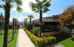 negol, Bursa
