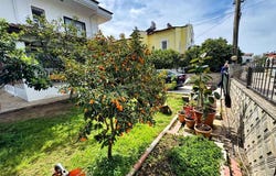 Muğla, Muğla 48300