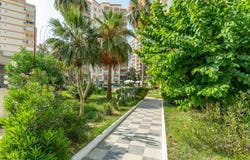 No:16 119. Sk., Mahmutlar, Antalya 07460