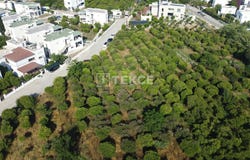 Bodrum, Turgutreis, Muğla, Muğla 48400