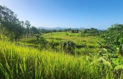 Las Lomas, Las Lomas, Caroni, Las Lomas, Caroni