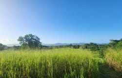 Las Lomas, Las Lomas, Caroni, Las Lomas, Caroni