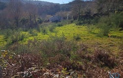 Viana do Castelo, Viana do Castelo District