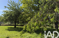 Chançay, Centre-Val de Loire 37210