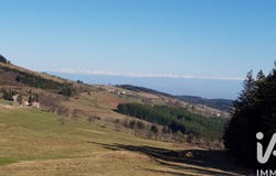 Thélis-la-Combe, Auvergne-Rhône-Alpes 42220