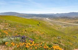 Gorman, Californie 93243