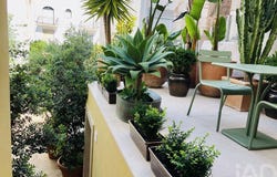 Leiria, Leiria District