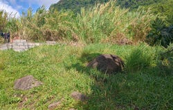 Layou, St. Vincent, SVG, Layou, St. Vincent, Layou, St. Vincent