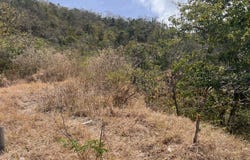 Spring, Bequia. SVG, Spring, Bequia, Spring, Bequia