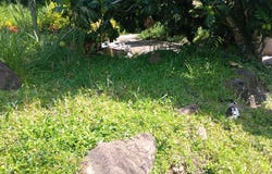 Layou, St. Vincent, SVG, Layou, St. Vincent, Layou, St. Vincent