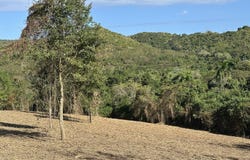 49 Mahogany Rd, Frederiksted, St Croix 00840, USVI, St. Croix, St. Croix 00840
