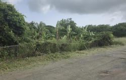 4-MA Upper Love PR, 4-MA, St. Croix 00850, Saint Croix, District of, St. Croix, Saint Croix, District of, St. Croix