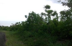 195 Ginger Thomas Way, Christiansted, St Croix 00820, USVI, St. Croix, St. Croix 00820