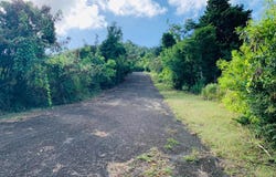 Unnamed Road, St. Croix, St. Croix 00840