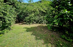 40 Sion Hill QU, 40, St. Croix 00820, Sion Hill, St. Croix, Sion Hill, St. Croix