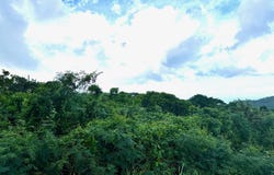 32 Hard Labor PR, 32, St. Croix 00850, Hard Labour, St. Croix, Hard Labour, St. Croix
