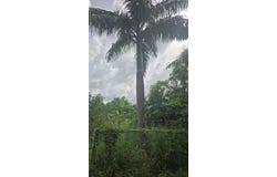 4-MA Upper Love PR, 4-MA, St. Croix 00850, Saint Croix, District of, St. Croix, Saint Croix, District of, St. Croix
