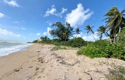Unnamed Road, St. Croix, St. Croix 00840