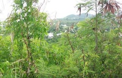 195 Ginger Thomas Way, Christiansted, St Croix 00820, USVI, St. Croix, St. Croix 00820