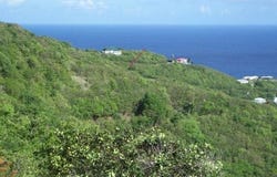 195 Ginger Thomas Way, Christiansted, St Croix 00820, USVI, St. Croix, St. Croix 00820