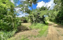 Mongoose, St. Croix, St. Croix 00840